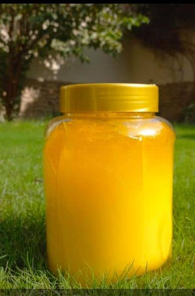 pure cholistani ghee 100% grunted 2