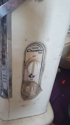 Gas heaters 3000 each