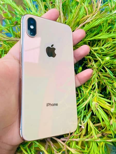 iPhone Xs • 256gb 3