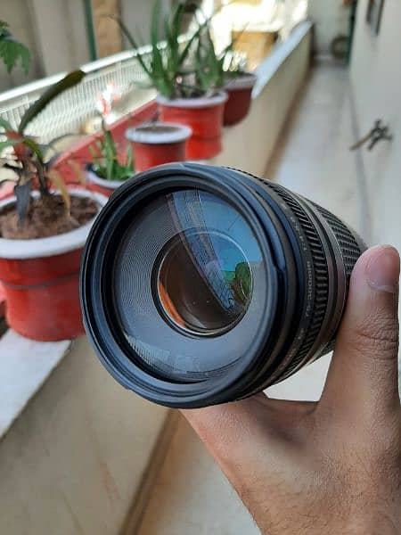 Canon 75-300mm Zoom Lens 1