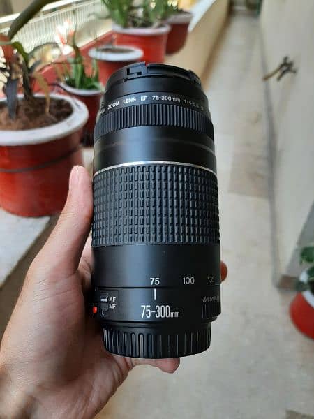 Canon 75-300mm Zoom Lens 3