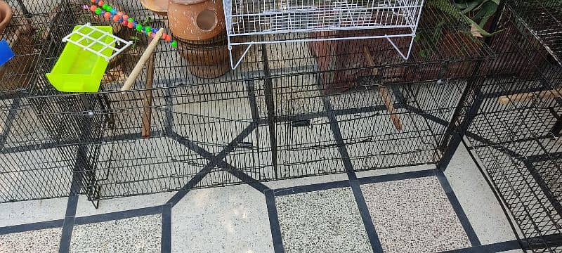 cages for sale 2