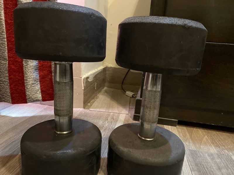 dumbbells 10+10 1