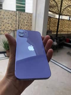 salaam I am selling iphone 12 non pta contact no 03109757187 whtsaap