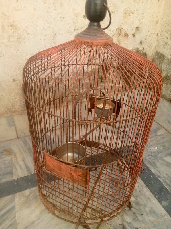 bird cage for sale 1