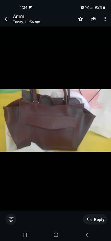 hand bag 4