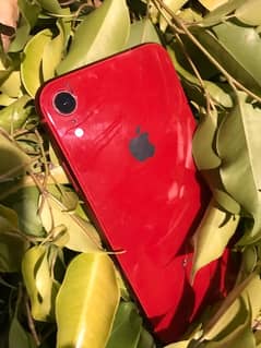 IPhone XR 64 gb PTA APPROVED