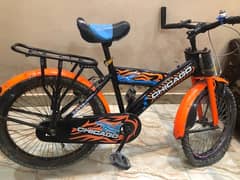 Chicago Mountain bicycle 20 Inch 0