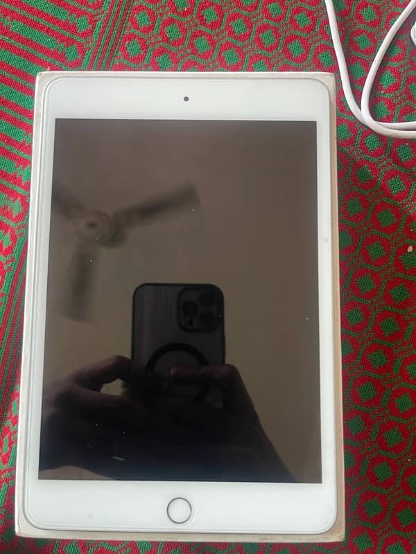 Ipad Mini 5 256 Gb with Original Box And Charger 4