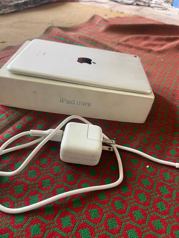 Ipad Mini 5 256 Gb with Original Box And Charger 5