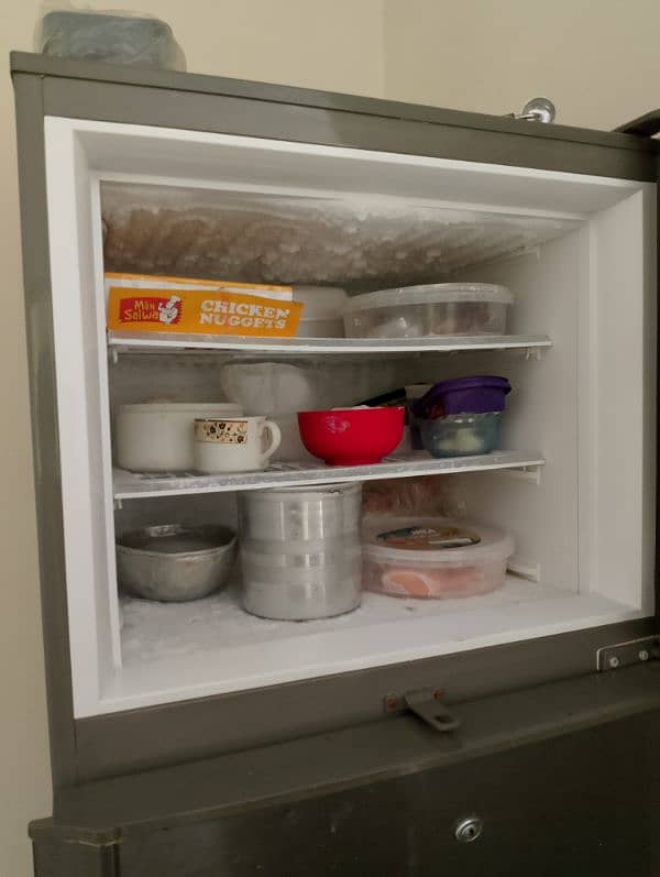 PEL refrigerator 2