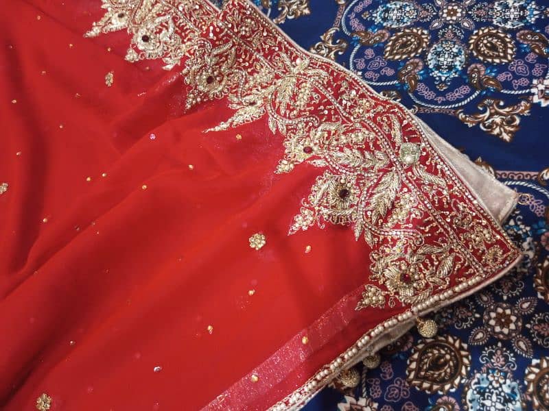 Bridle lehnga 10