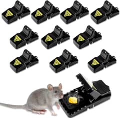 Plastic Mouse Trap Pack of 12