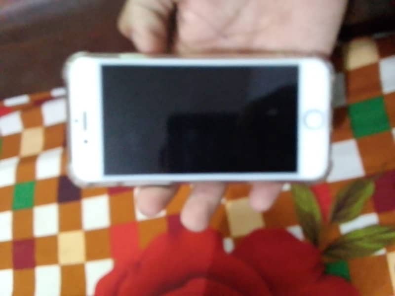 original condition ma ha iPhone 6s 1