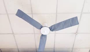 Ceiling fan cover