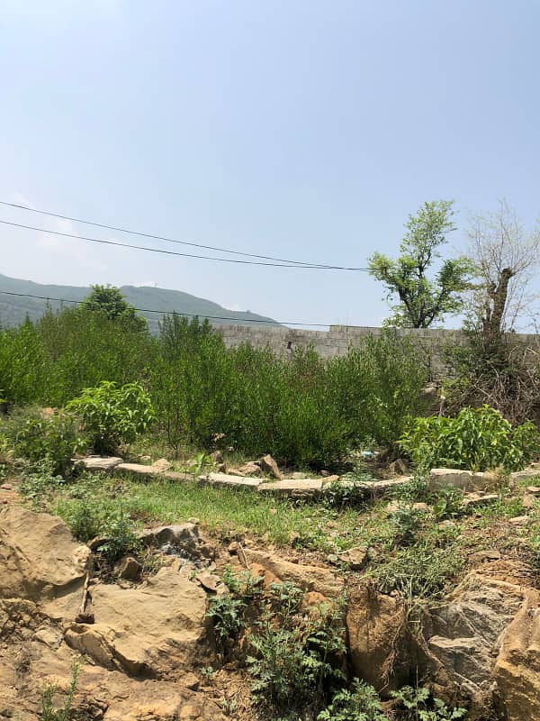 Residential Plot Available For Sale in C-12 Islamabad 5