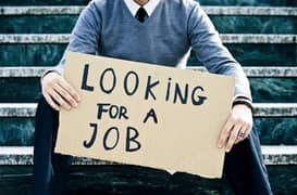 I am looking for a Job! 0