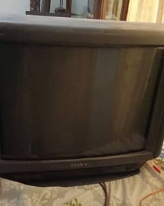 Sony Trinitron TV 0