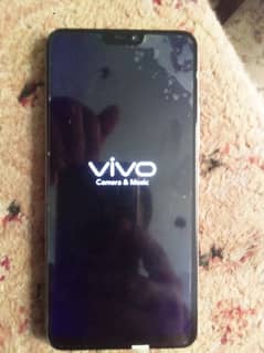 VIVO