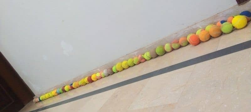 81 Cricket Balls 1