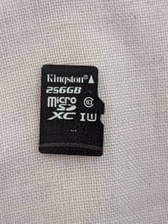 Kingston 256 GB Memory mirco SD card