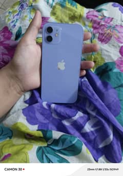 Lilac ( purple) iphone 12 0