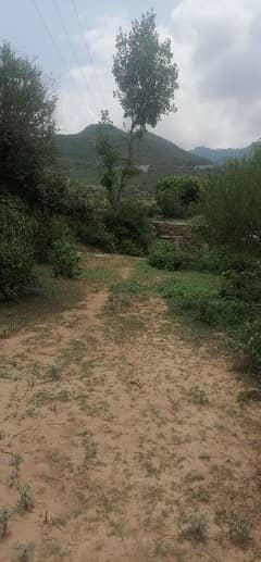 Agricultural land, cattle,Goat,Dairy and farm House available for Rent