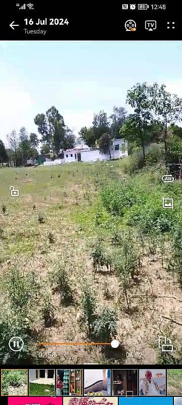 Agricultural land, cattle,Goat,Dairy and farm House available for Rent 1