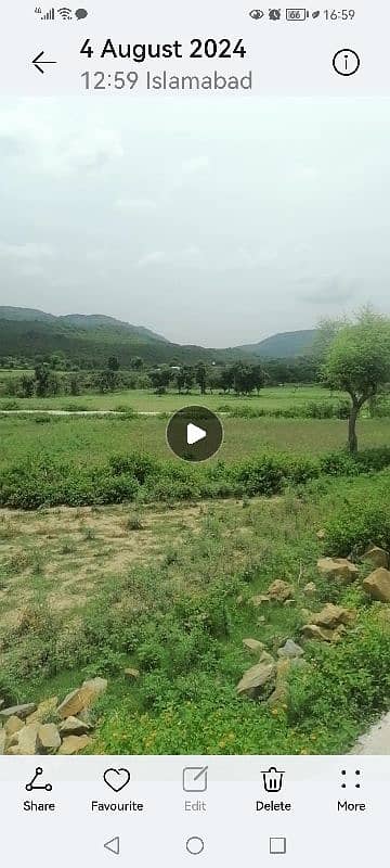 Agricultural land, cattle,Goat,Dairy and farm House available for Rent 8