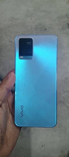 vivo