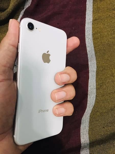 iphone 8 pta approved 6