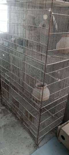 CAGES FOR SALE