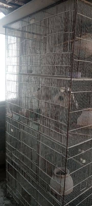 CAGES FOR SALE 1