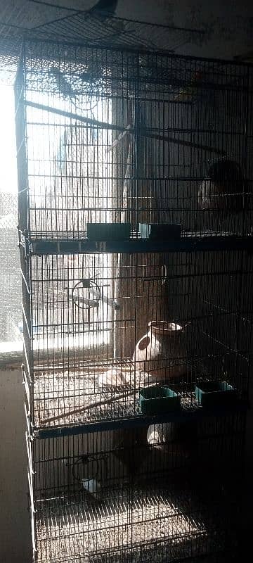 CAGES FOR SALE 2