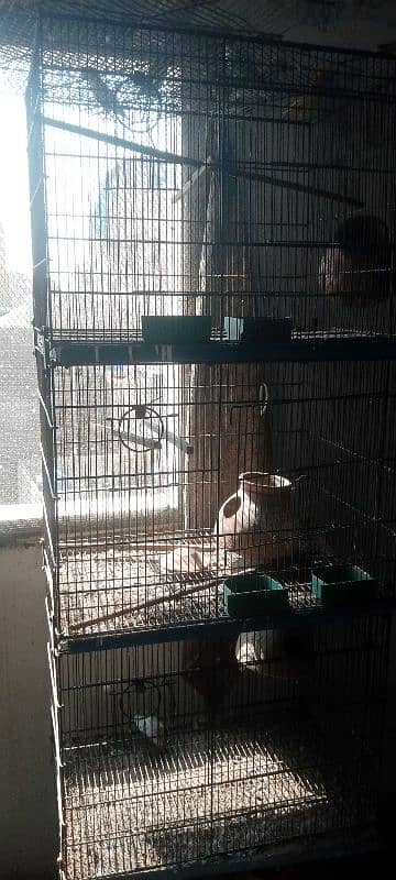 CAGES FOR SALE 3