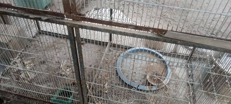 CAGES FOR SALE 4