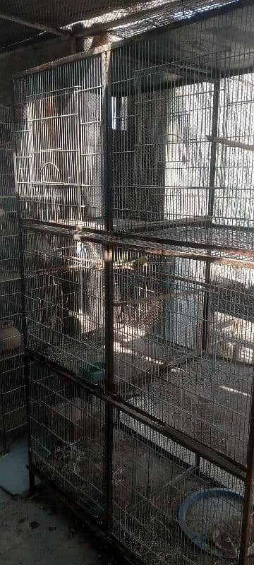 CAGES FOR SALE 6