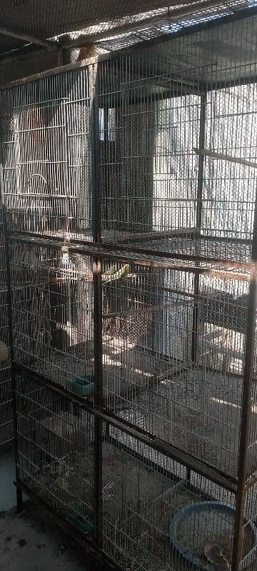 CAGES FOR SALE 7