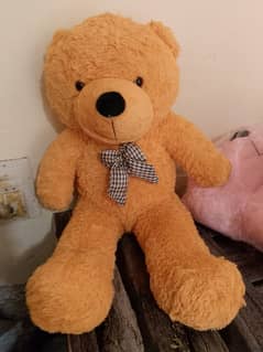 large Jumbo Teddy bear good quality