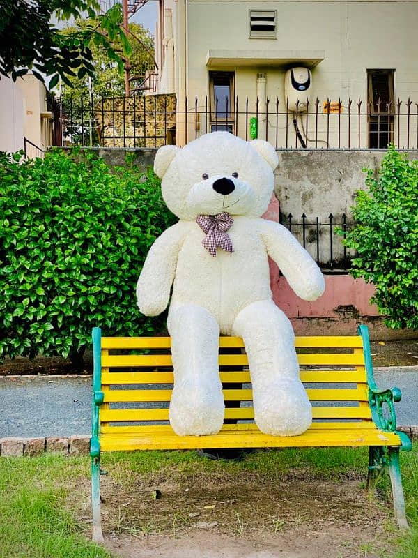 large Jumbo Teddy bear good quality 7