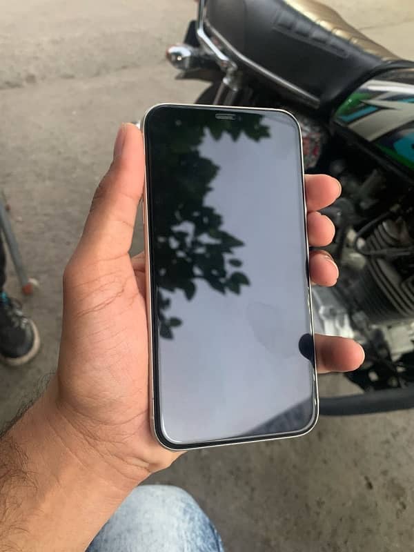 iphone 11 pta 1