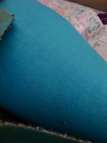 carpet in very good condition 1