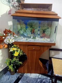 Fish aquarium