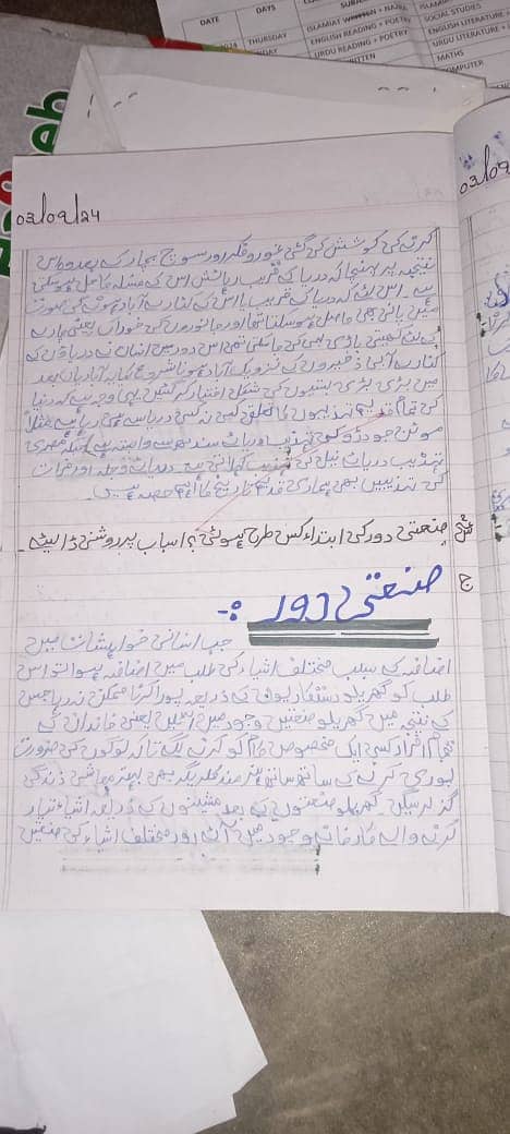 Professional Urdu& English Assignment Work in low cost. 1