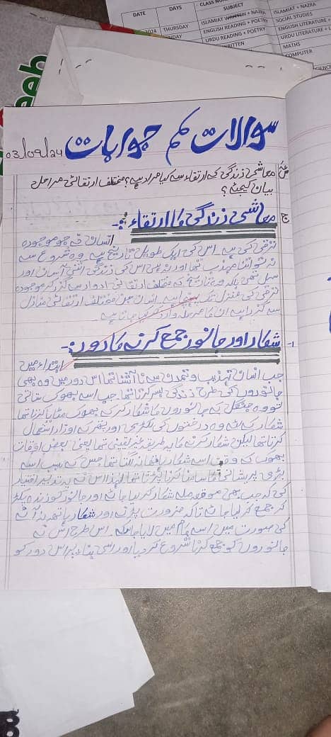 Professional Urdu& English Assignment Work in low cost. 4