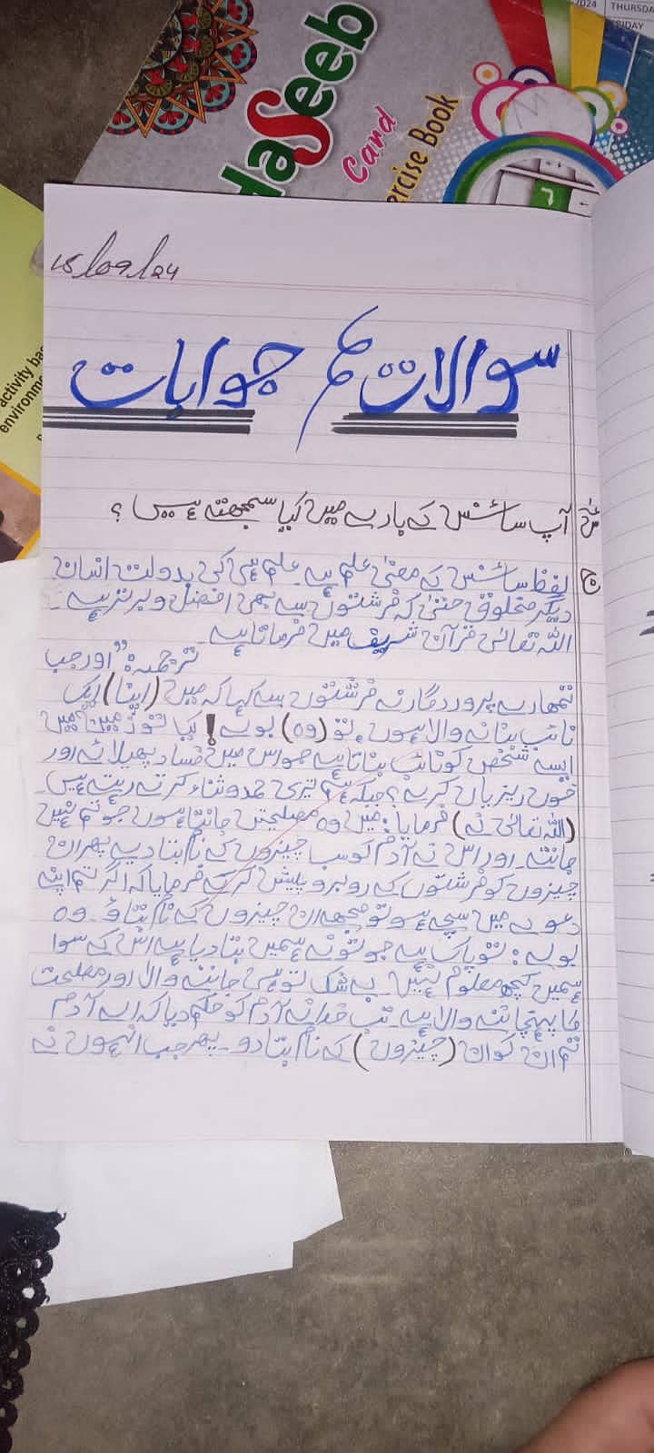 Professional Urdu& English Assignment Work in low cost. 6