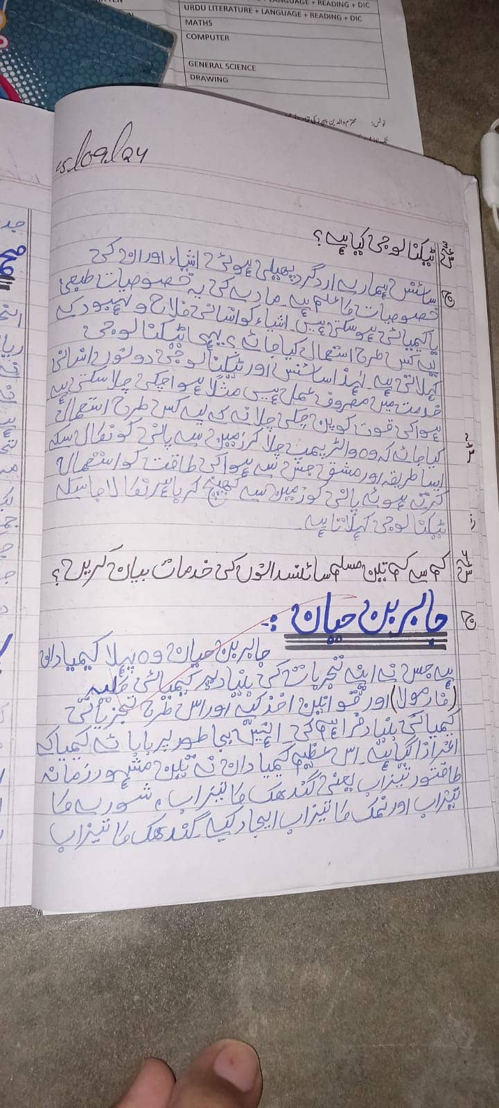 Professional Urdu& English Assignment Work in low cost. 13