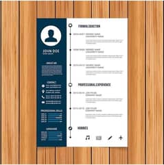 Professional Cv/Resume And Logo Designing