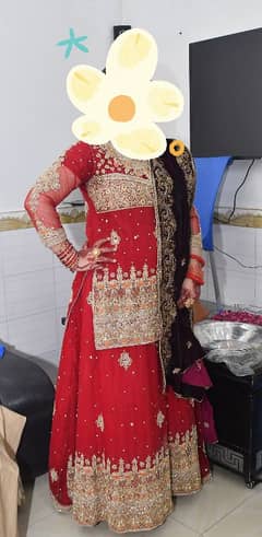 bridal lehngal