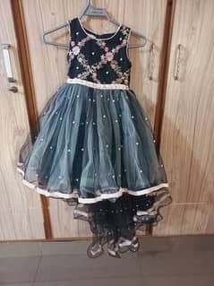 Embroided net tail frock